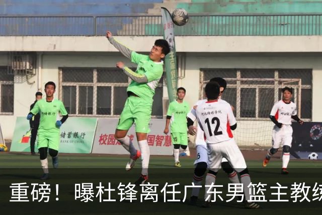 重磅！曝杜锋离任广东男篮主教练 媒体人猜测外教接任可能性较大